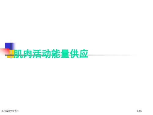 肌肉活动能量供应