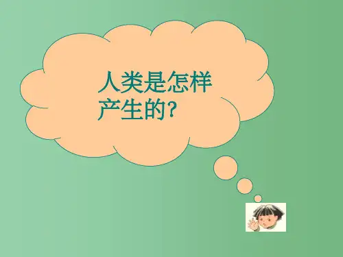 七年级历史上册 第1课 周口店告诉我们的历史课件 人教新课标版
