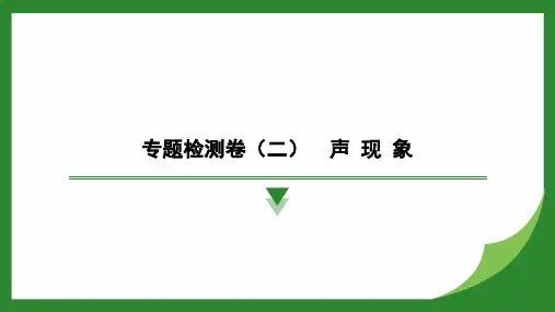 人教版(2024)物理 八年级上册 专题检测卷(二) 声 现 象