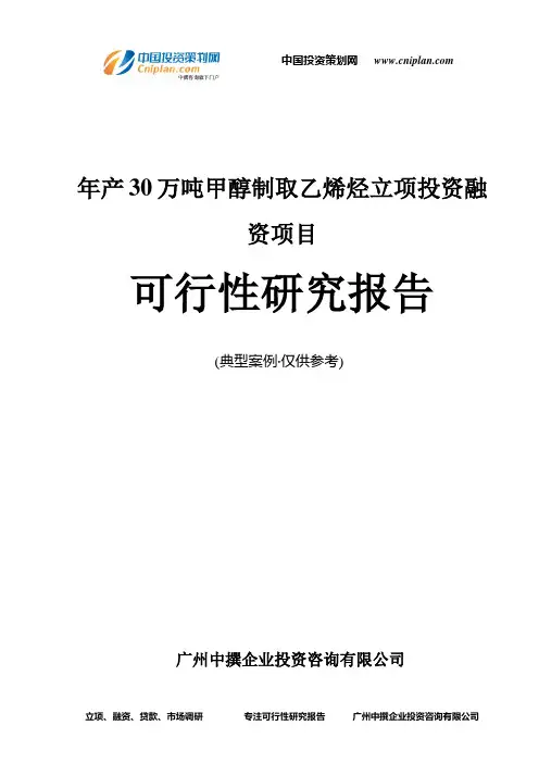 年产30万吨甲醇制取乙烯烃融资投资立项项目可行性研究报告(非常详细)