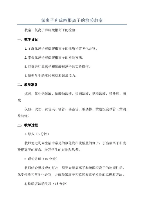 氯离子和硫酸根离子的检验教案