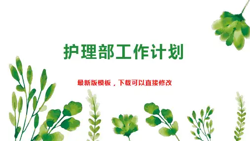 护理部工作计划PPT模板下载