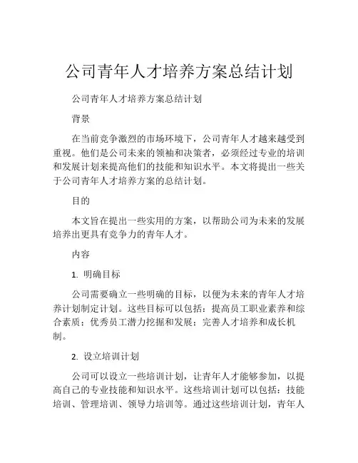 公司青年人才培养方案总结计划