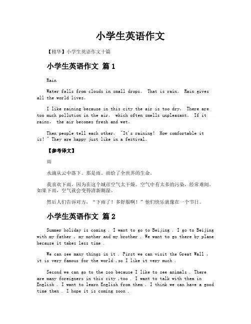 小学生英语作文