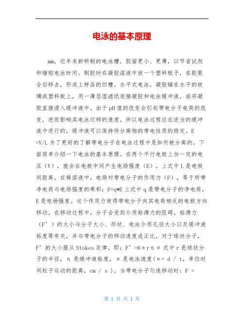 电泳的基本原理