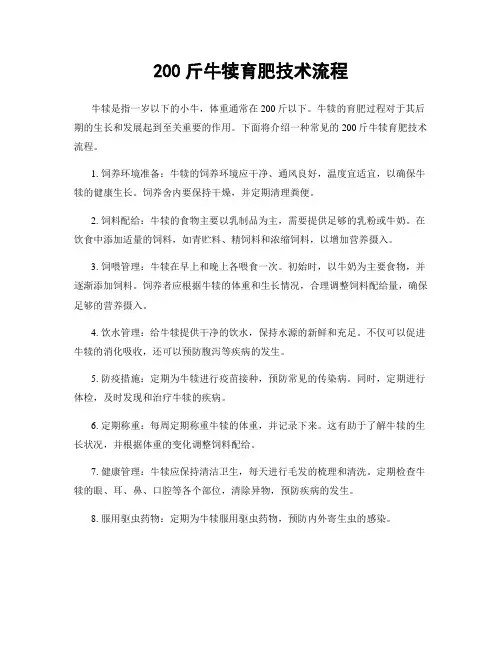 200斤牛犊育肥技术流程