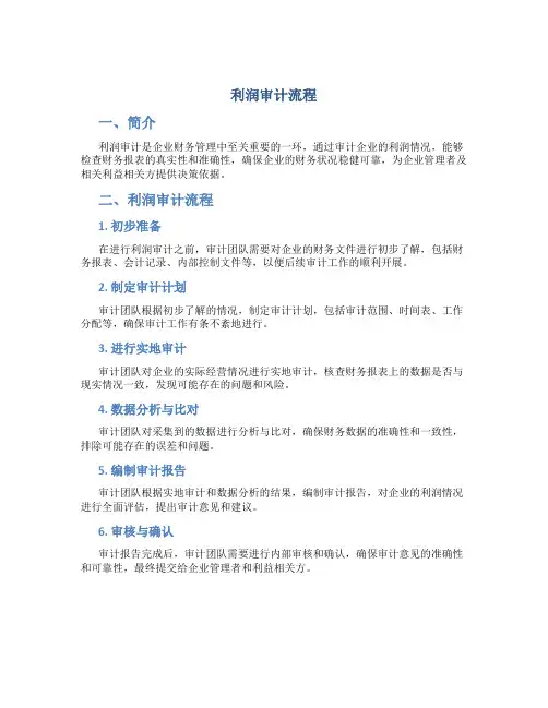 利润审计流程