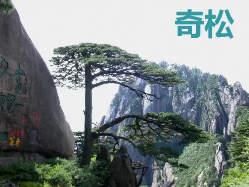 黄山奇石教学课件完整版(共66张PPT)