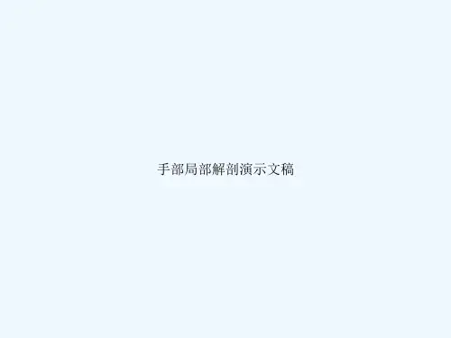 手部局部解剖演示文稿