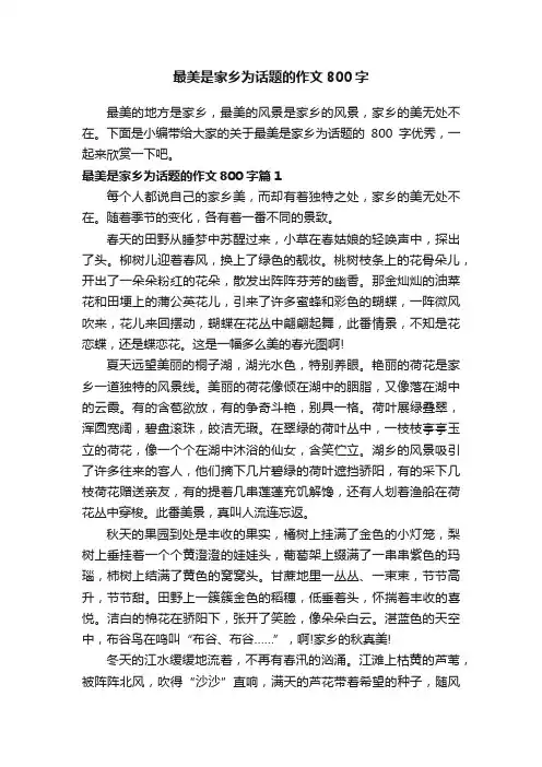 最美是家乡为话题的作文800字