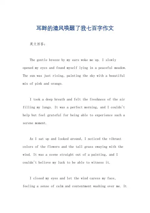 耳畔的清风唤醒了我七百字作文