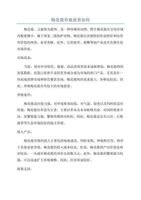 梅花鹿养殖前景如何