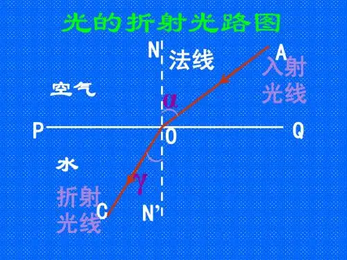 科学：1.6《眼和视觉》课件(1)(浙教版七年级下)