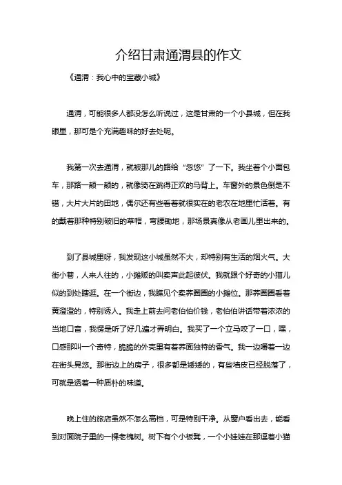 介绍甘肃通渭县的作文