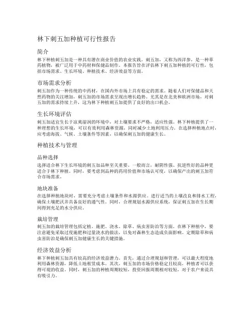林下刺五加种植可行性报告