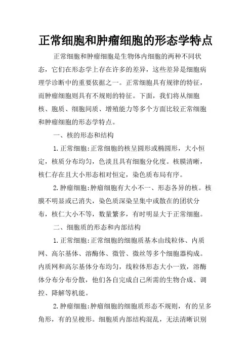 正常细胞和肿瘤细胞的形态学特点
