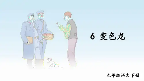 人教版九年级语文下册《变色龙》PPT课件