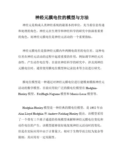 神经元膜电位的模型与方法