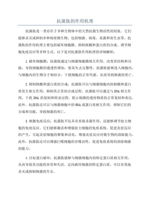 抗菌肽的作用机理