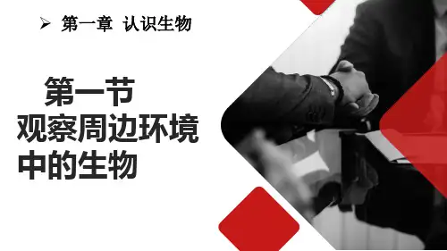 观察周边环境中的生物ppt课件