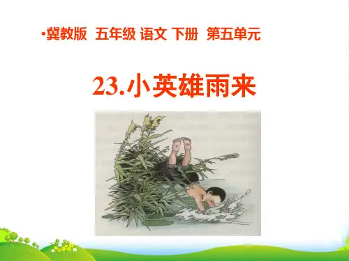 五年级语文下册 小英雄雨来 1课件 冀教