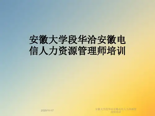 安徽大学段华洽安徽电信人力资源管理师培训
