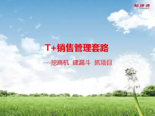 畅捷通T+销售管理培训PPT