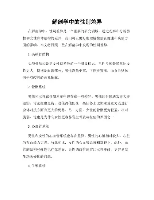 解剖学中的性别差异