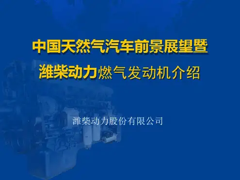 潍柴天然气发动机产品介绍1128