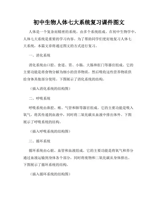 初中生物人体七大系统复习课件图文