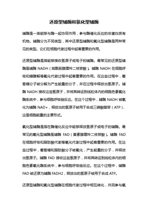 还原型辅酶和氧化型辅酶