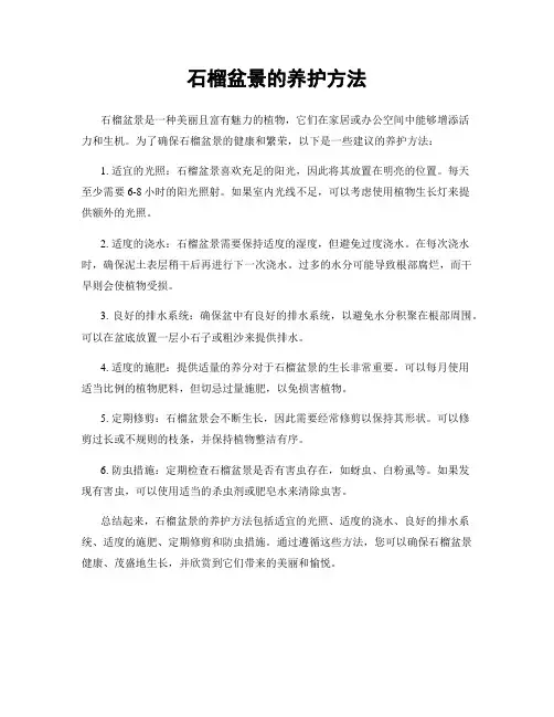 石榴盆景的养护方法