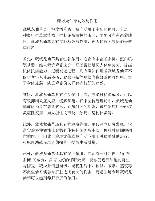 藏域龙仙草功效与作用