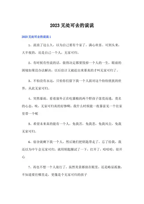 2023无处可去的说说