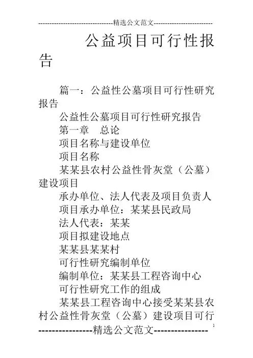 公益项目可行性报告