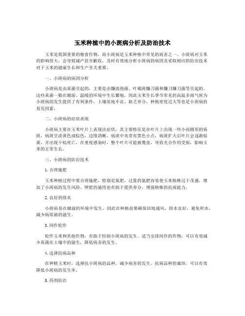 玉米种植中的小斑病分析及防治技术