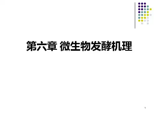 第六章微生物发酵机理PPT课件