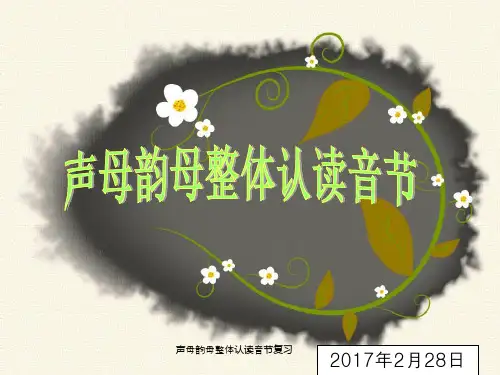 声母韵母整体认读音节复习 ppt课件