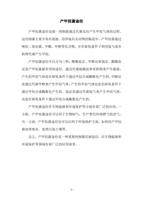 产甲烷菌途径