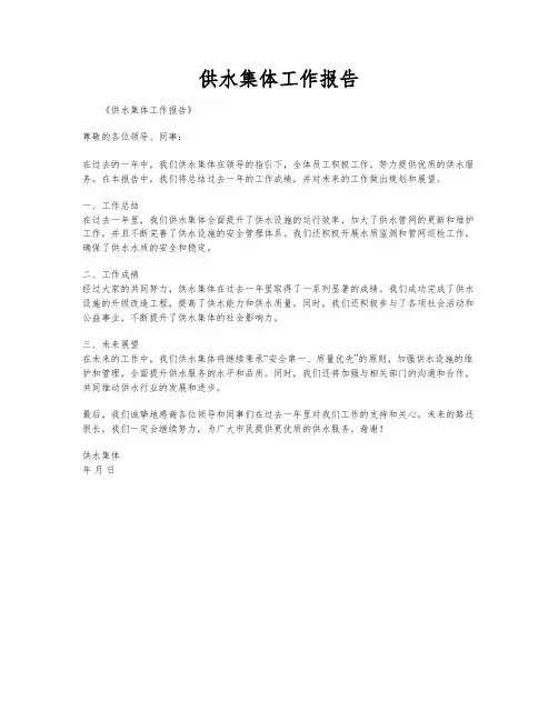 供水集体工作报告