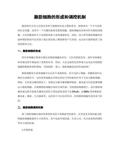 脂肪细胞的形成和调控机制
