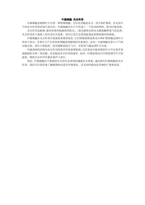 叶脉细胞 光合作用