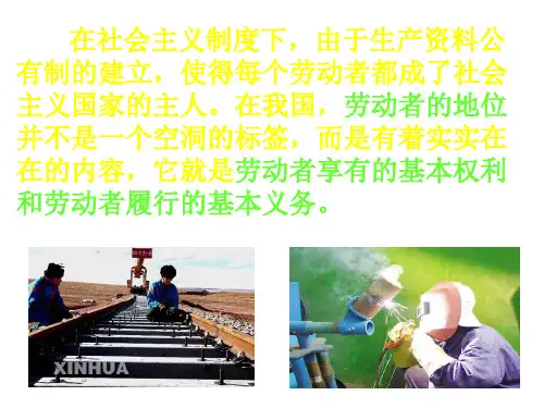 劳动者的基本权利和义务
