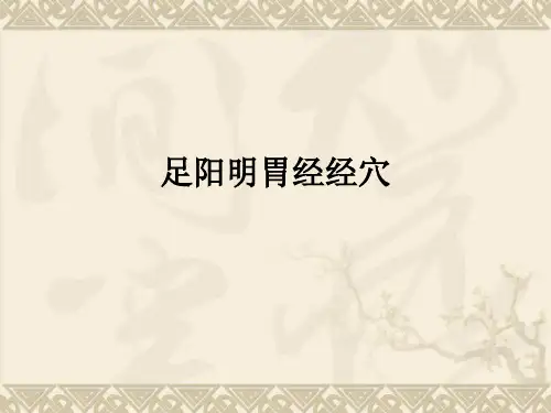 足阳明胃经经穴ppt课件