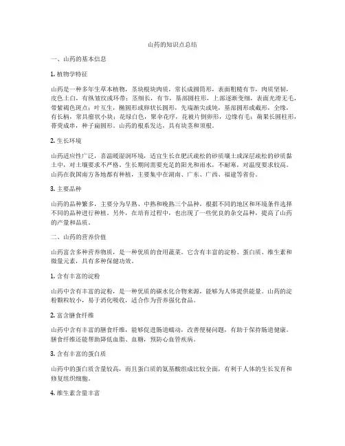 山药的知识点总结