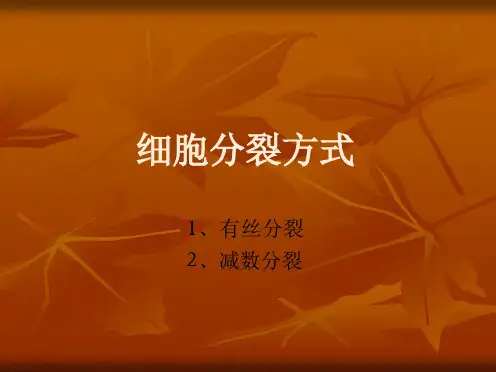 细胞分裂方式
