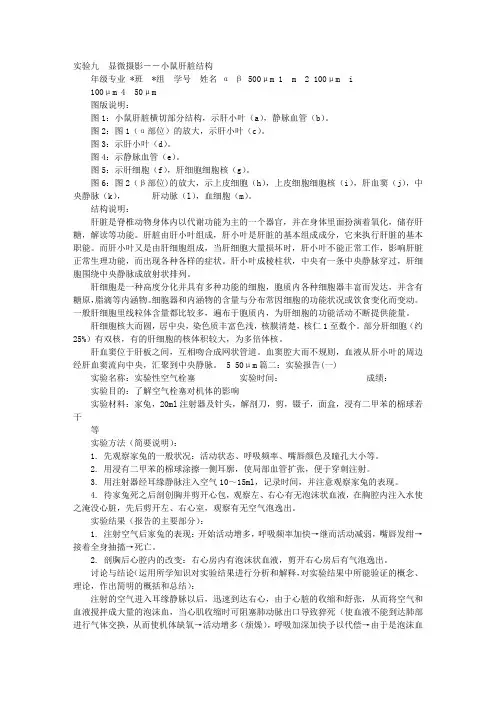 肝切片实验报告？