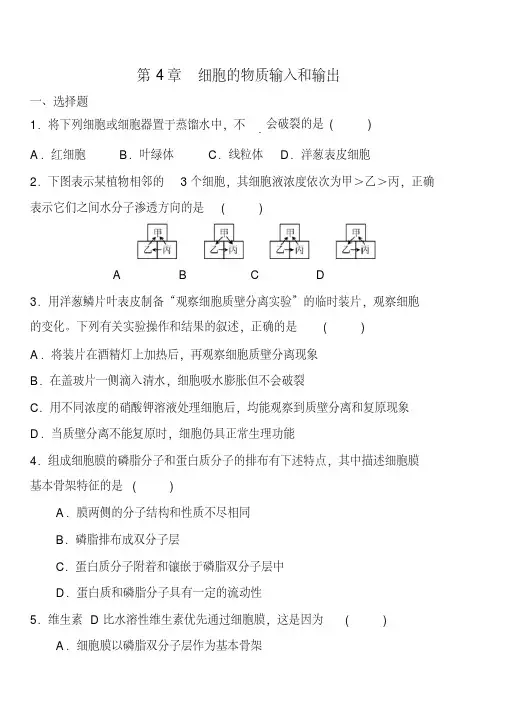 (完整版)高中生物必修一第四章练习及答案