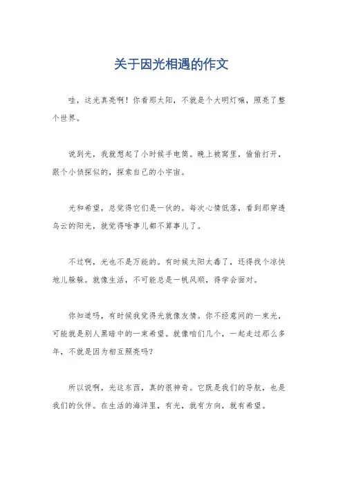 关于因光相遇的作文