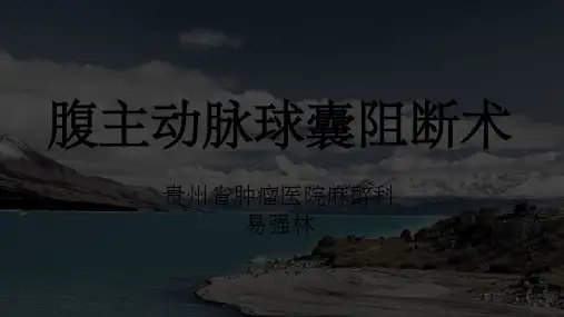 腹主动脉阻断术ppt